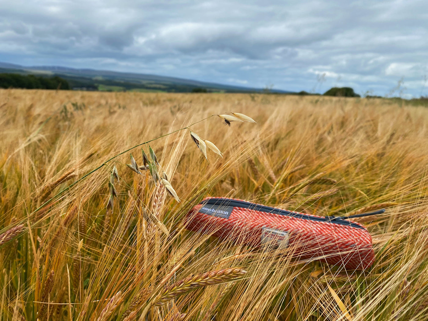 Harris Tweed Pencil Case